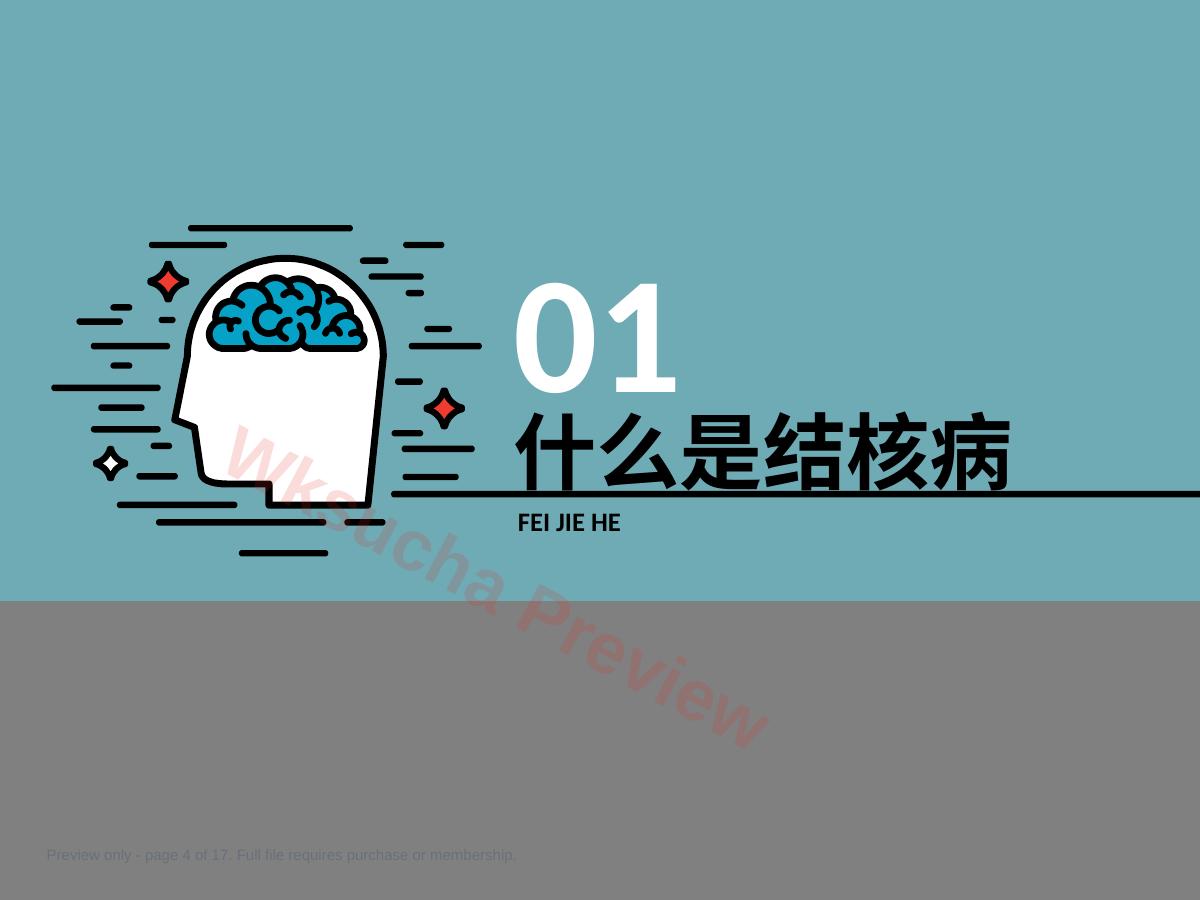预览第 4 页