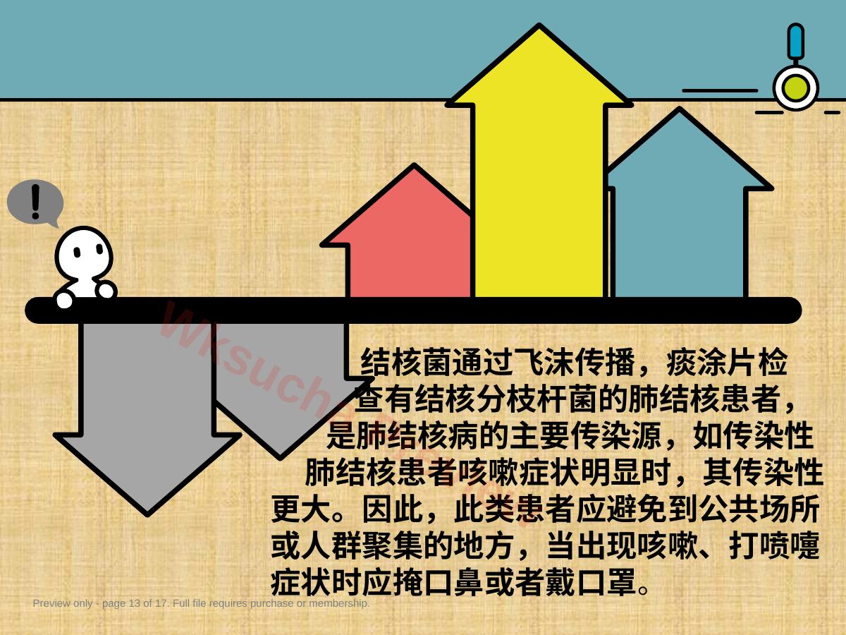 预览第 13 页