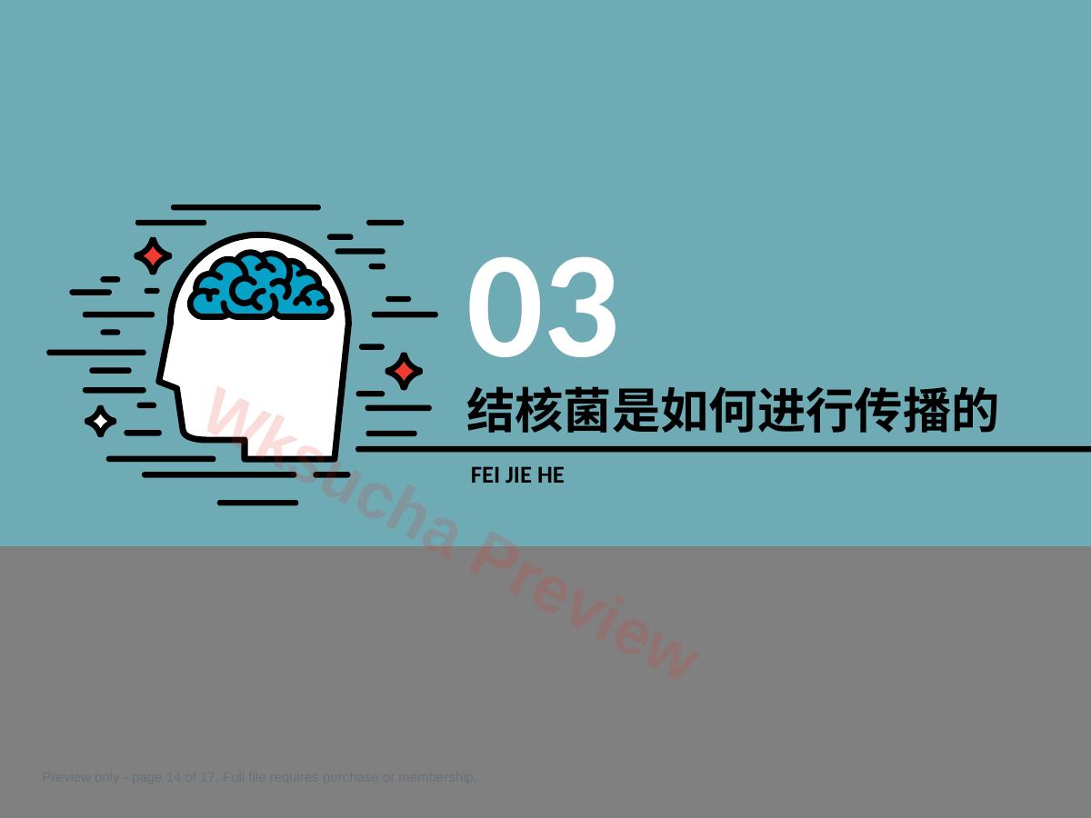 预览第 14 页