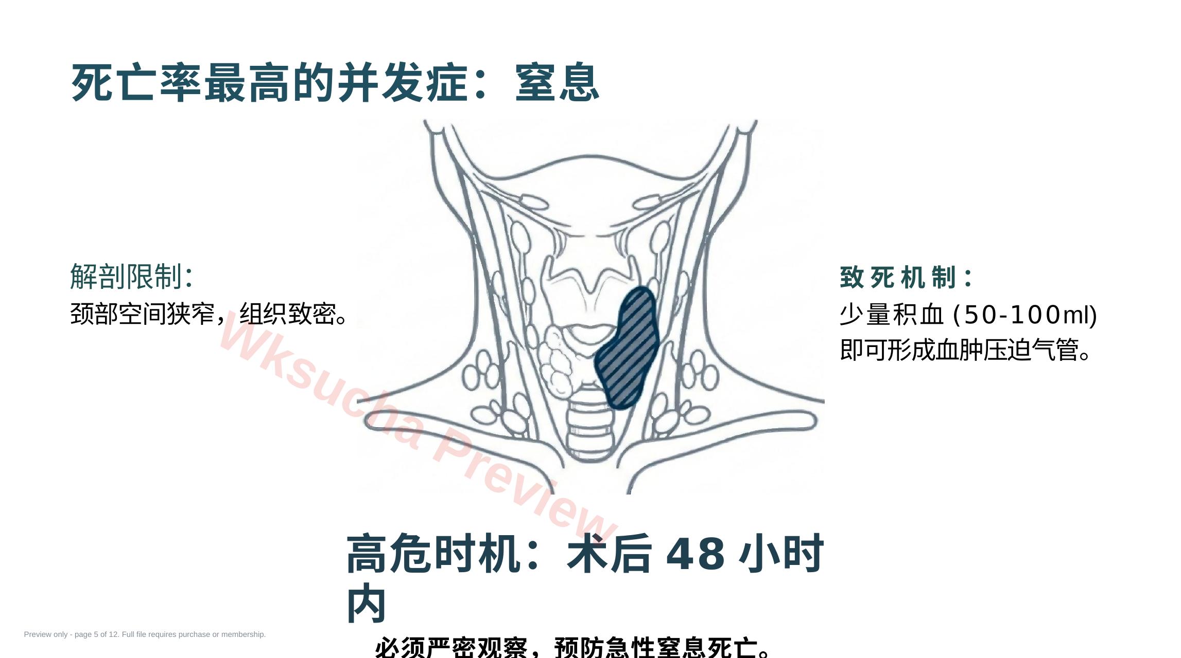 预览第 5 页