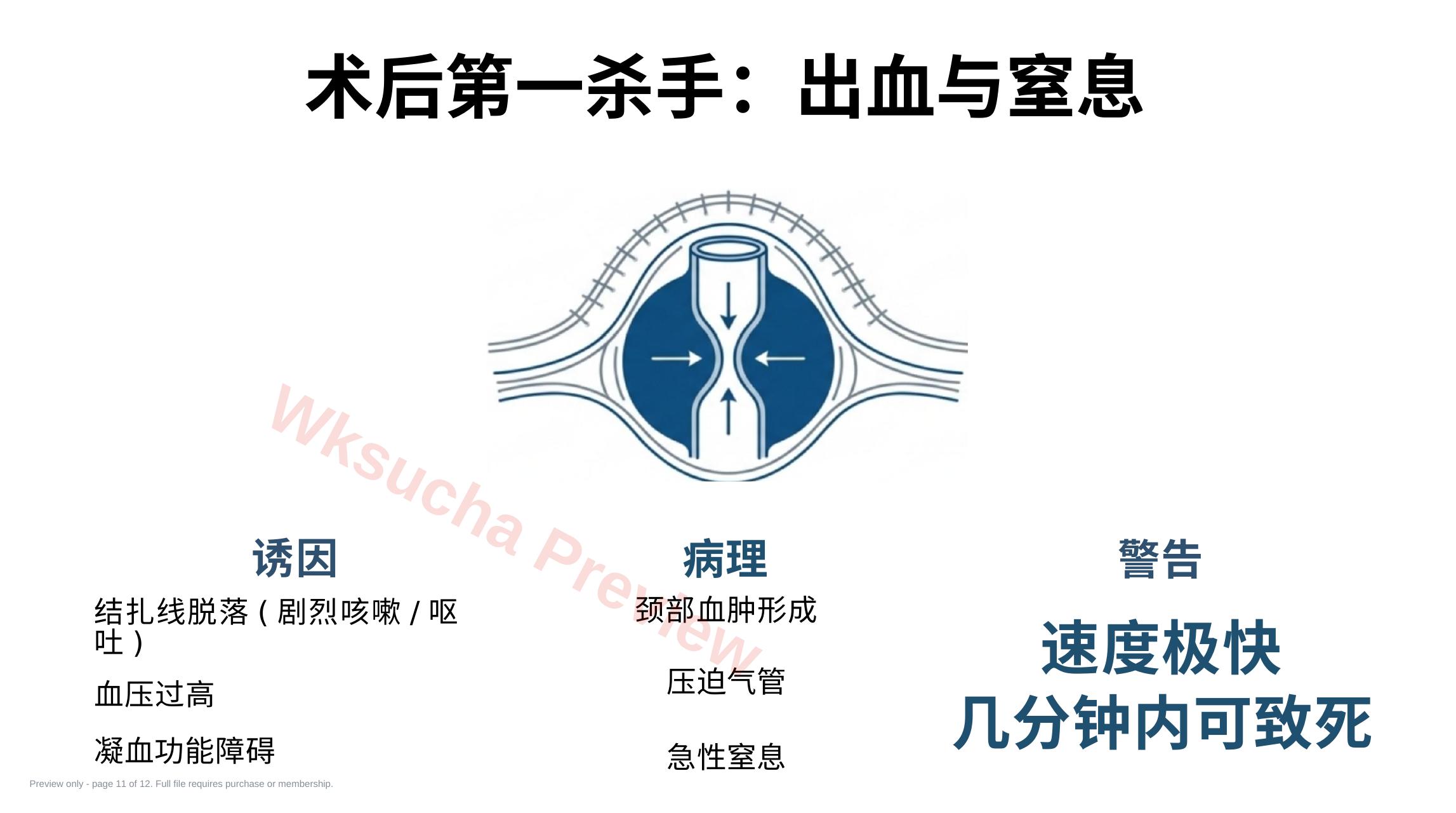 预览第 11 页