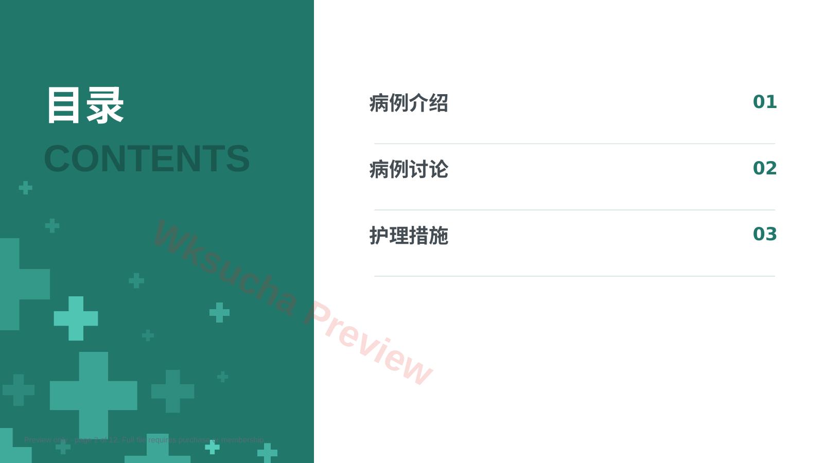 预览第 2 页