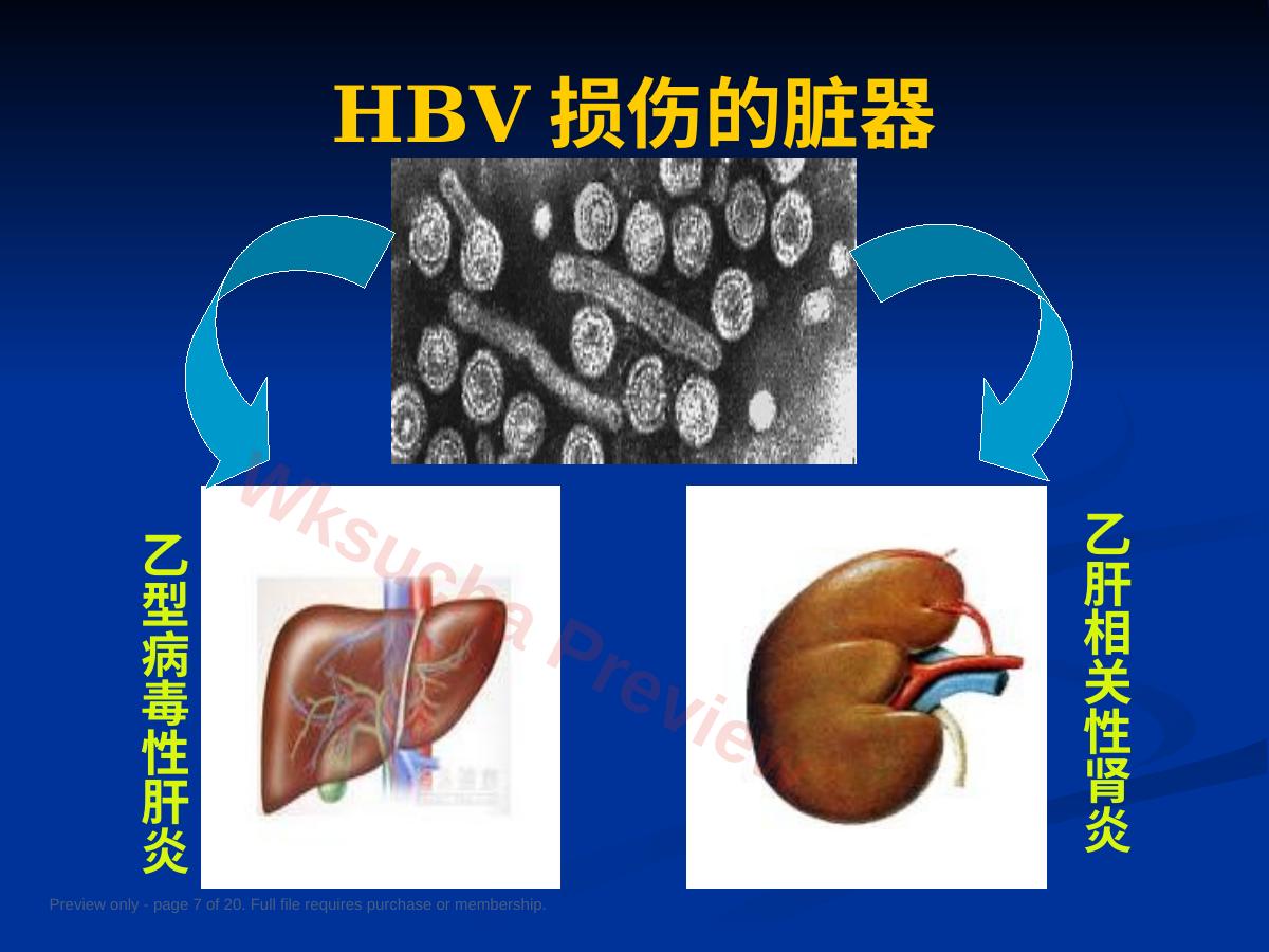 预览第 7 页