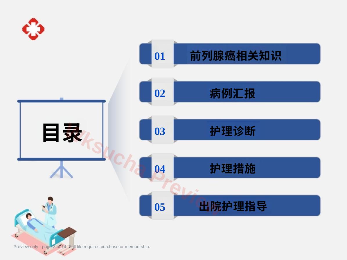 预览第 2 页