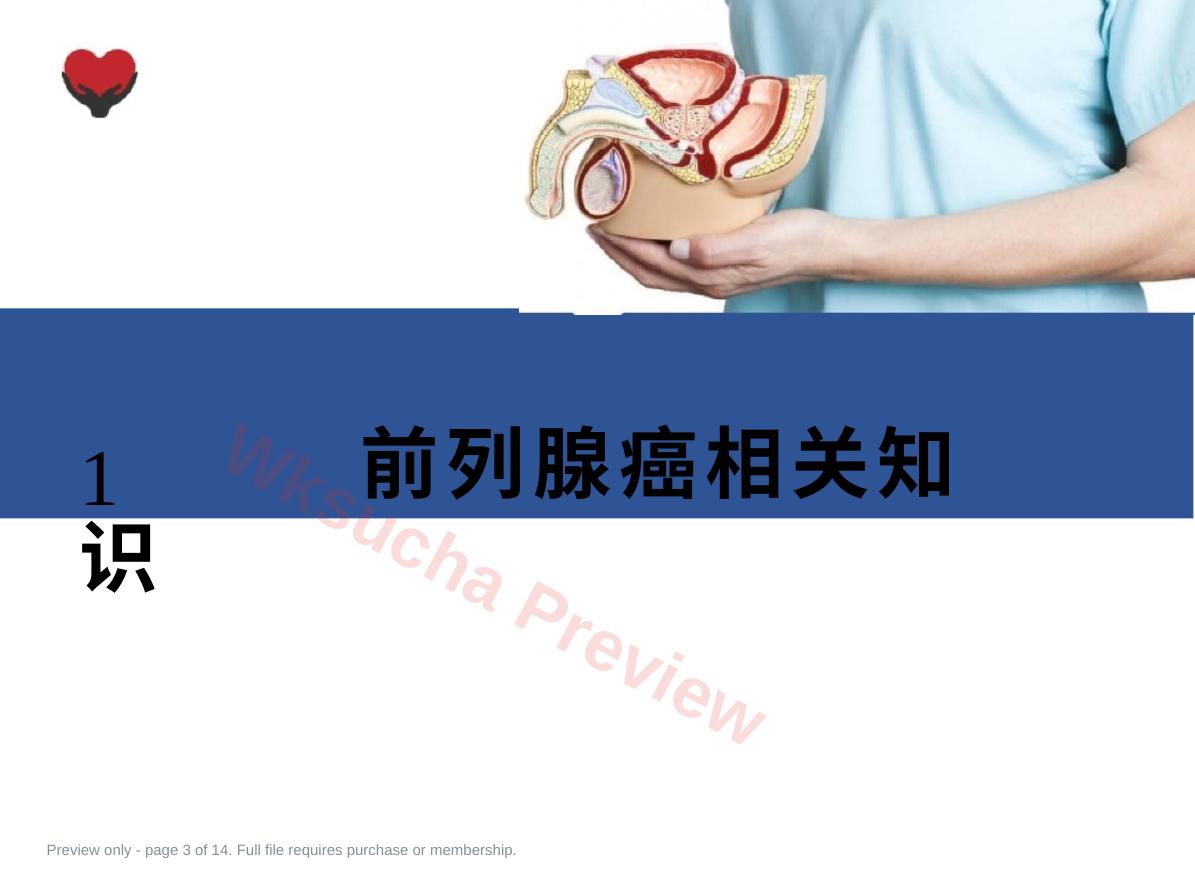 预览第 3 页