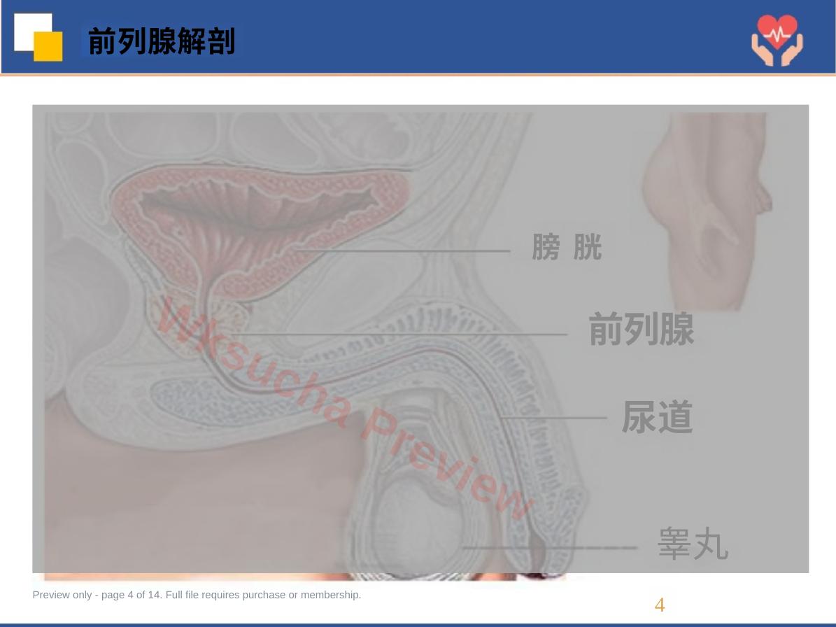预览第 4 页