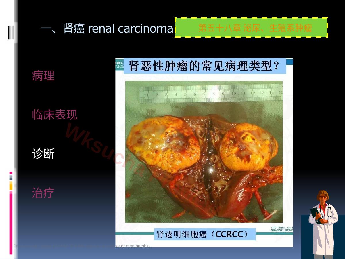 预览第 13 页