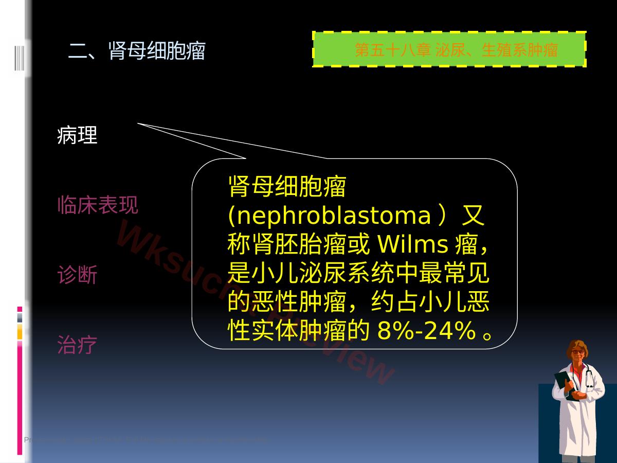 预览第 17 页