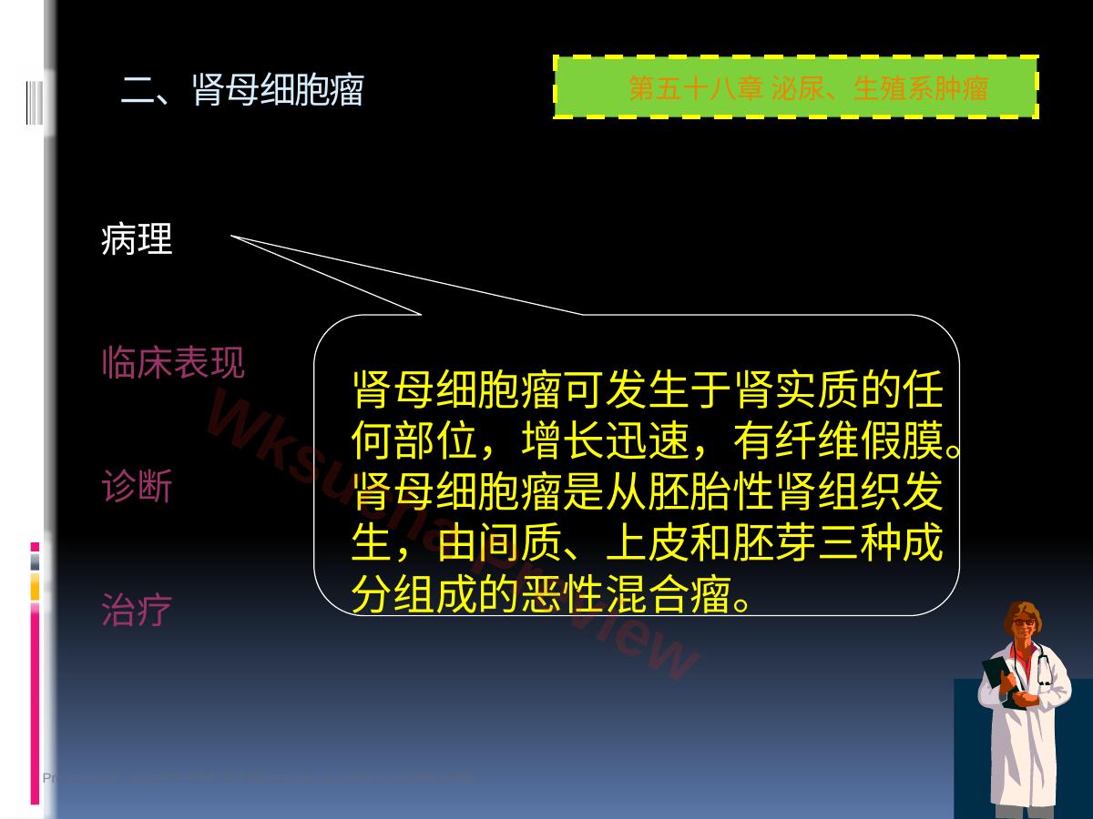 预览第 19 页