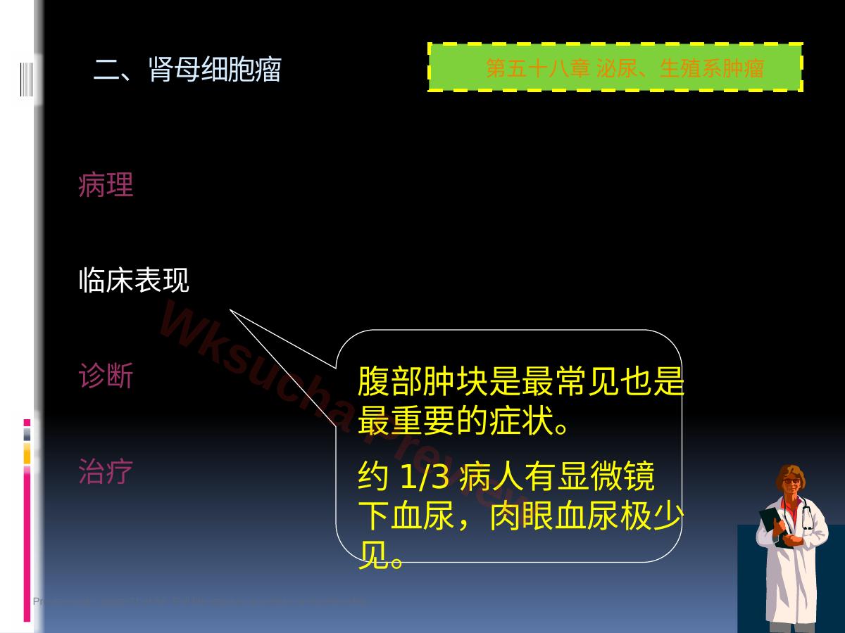 预览第 21 页