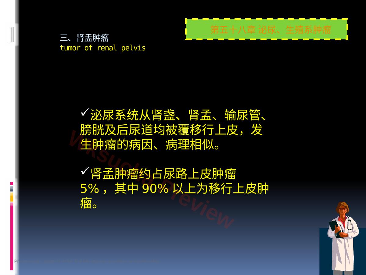 预览第 25 页