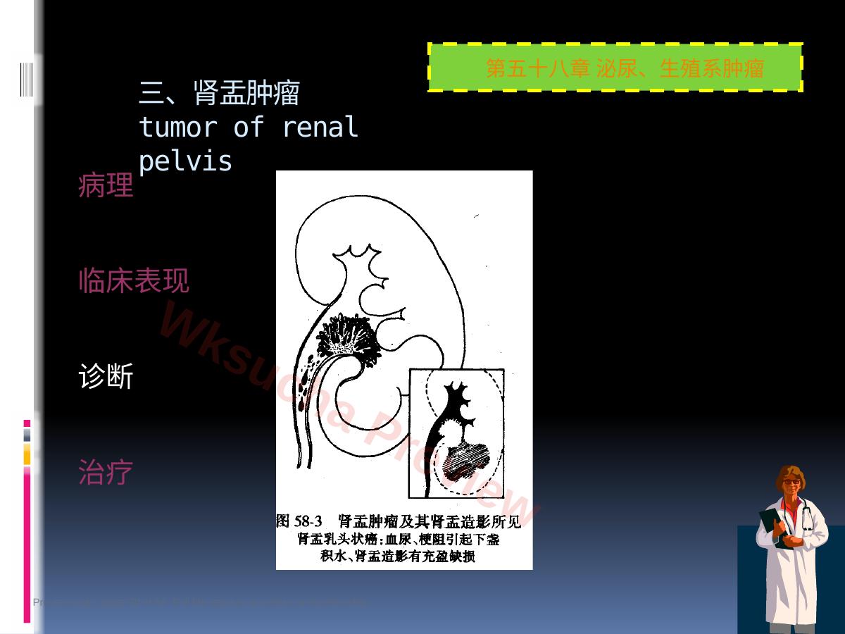 预览第 30 页