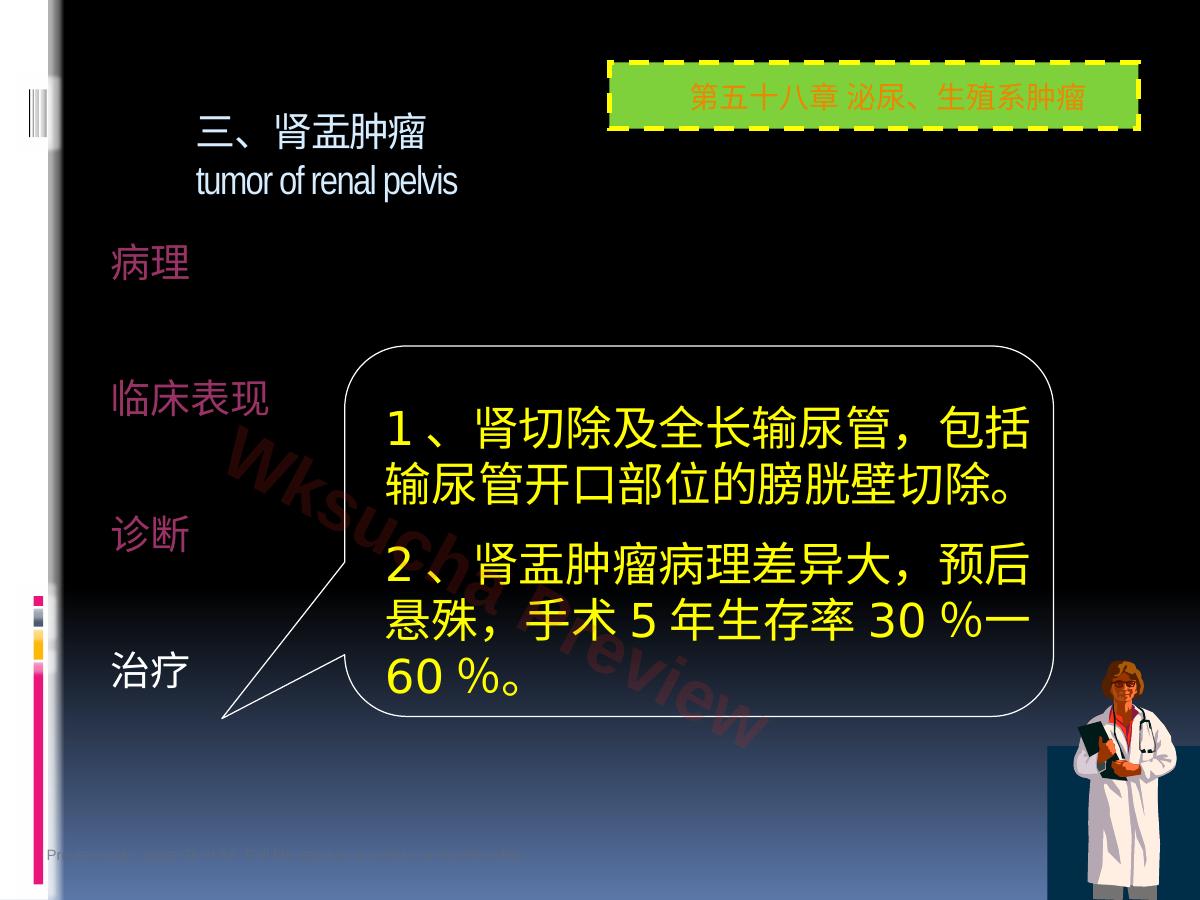 预览第 36 页