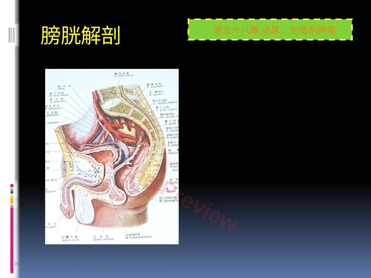 预览第 38 页