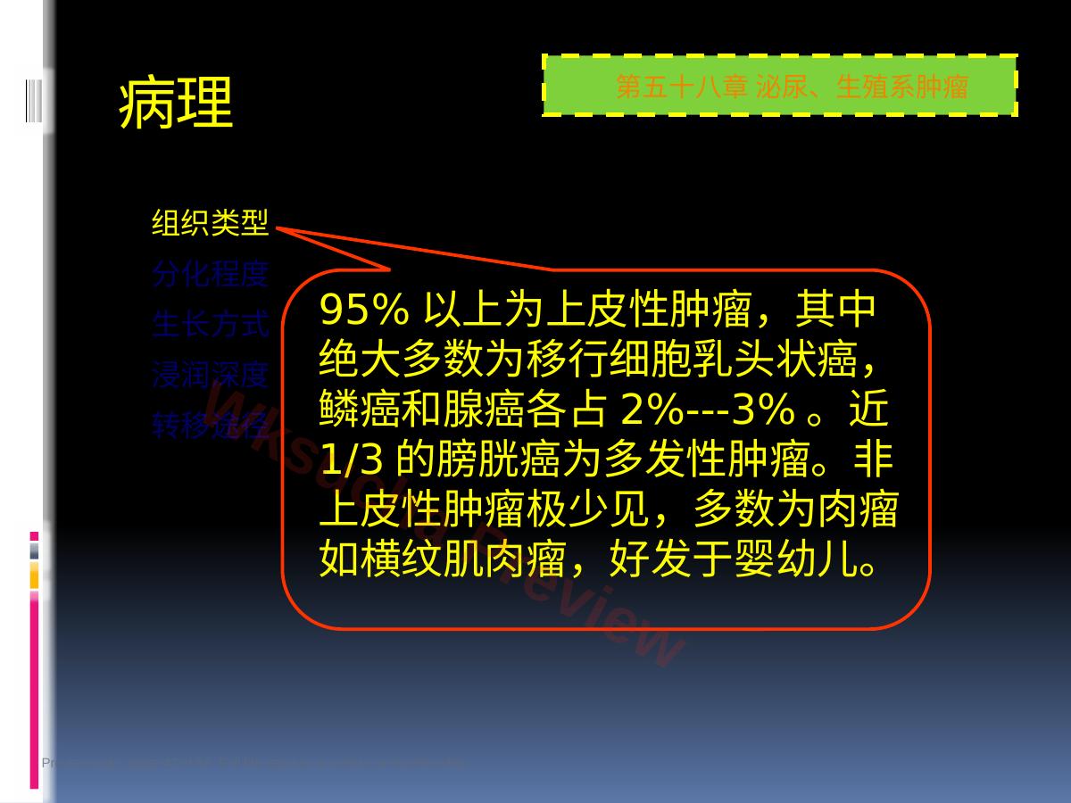 预览第 43 页