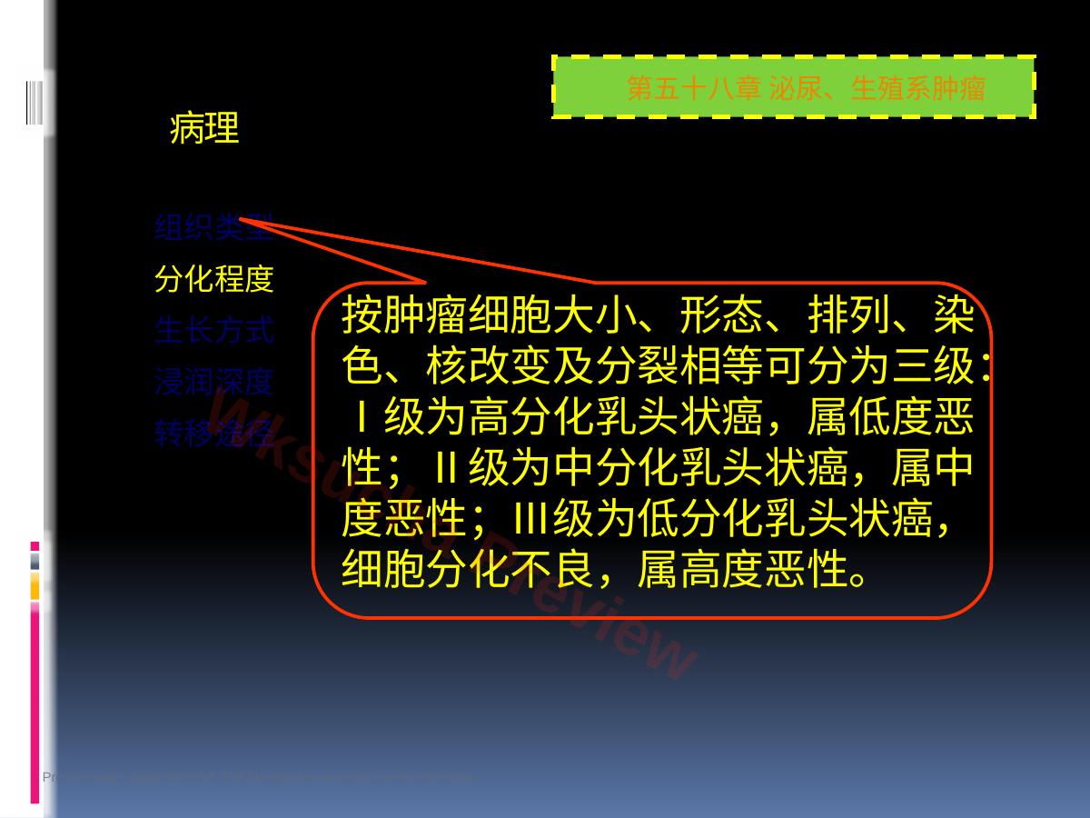 预览第 44 页