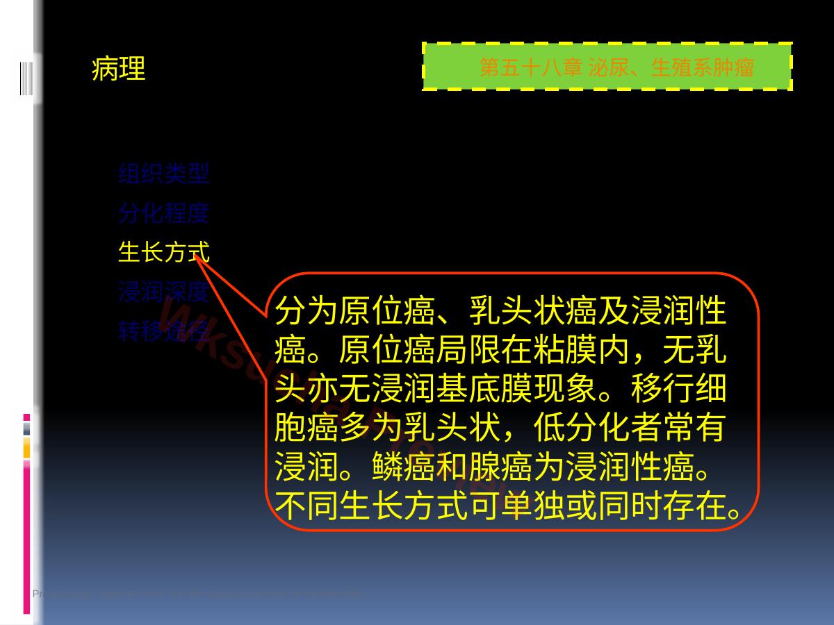 预览第 45 页