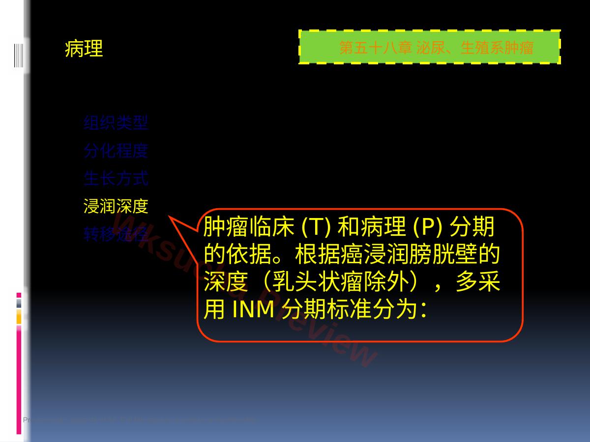 预览第 46 页