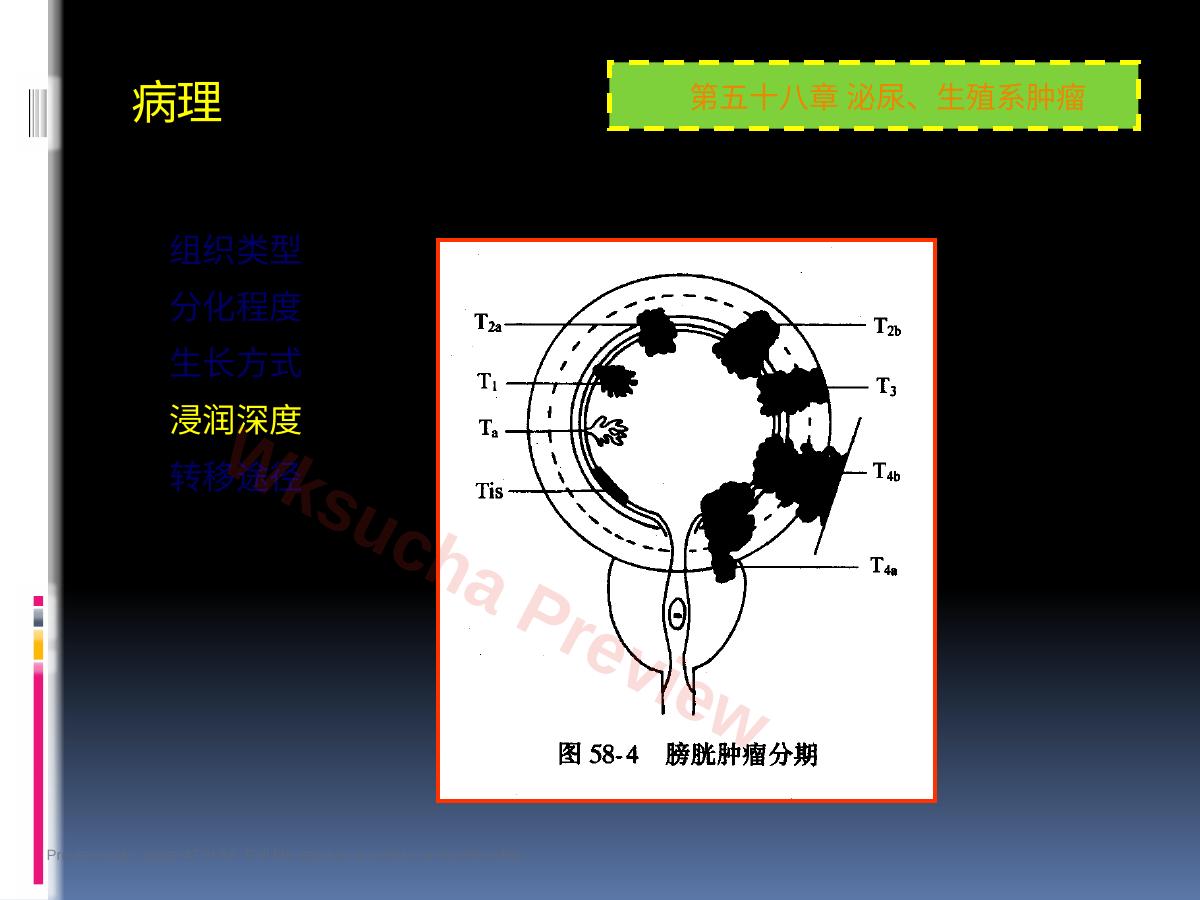 预览第 47 页