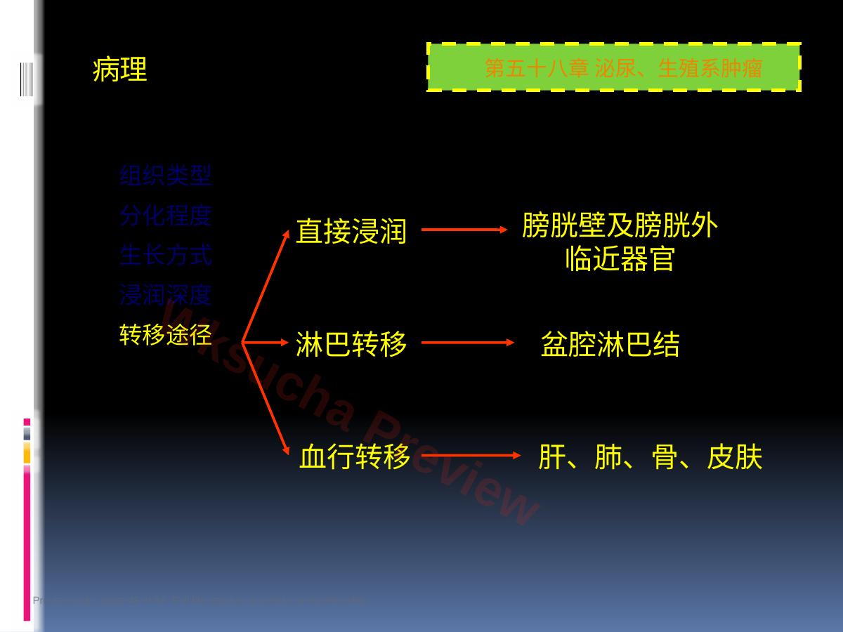预览第 48 页