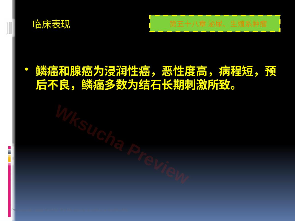 预览第 54 页