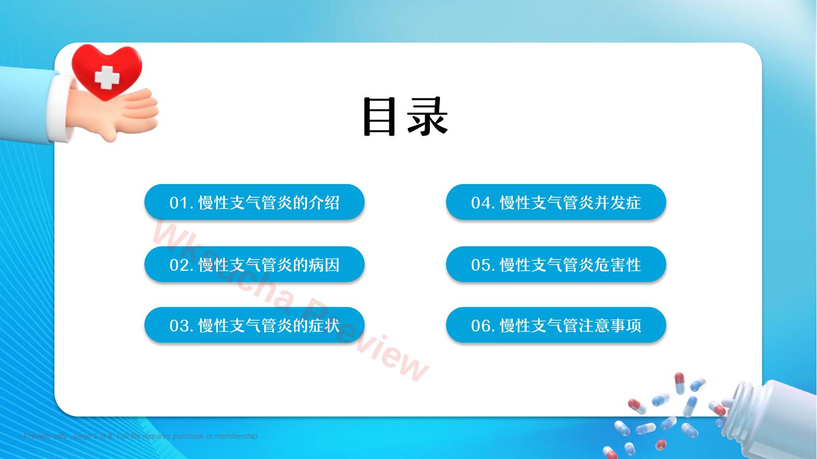 预览第 2 页