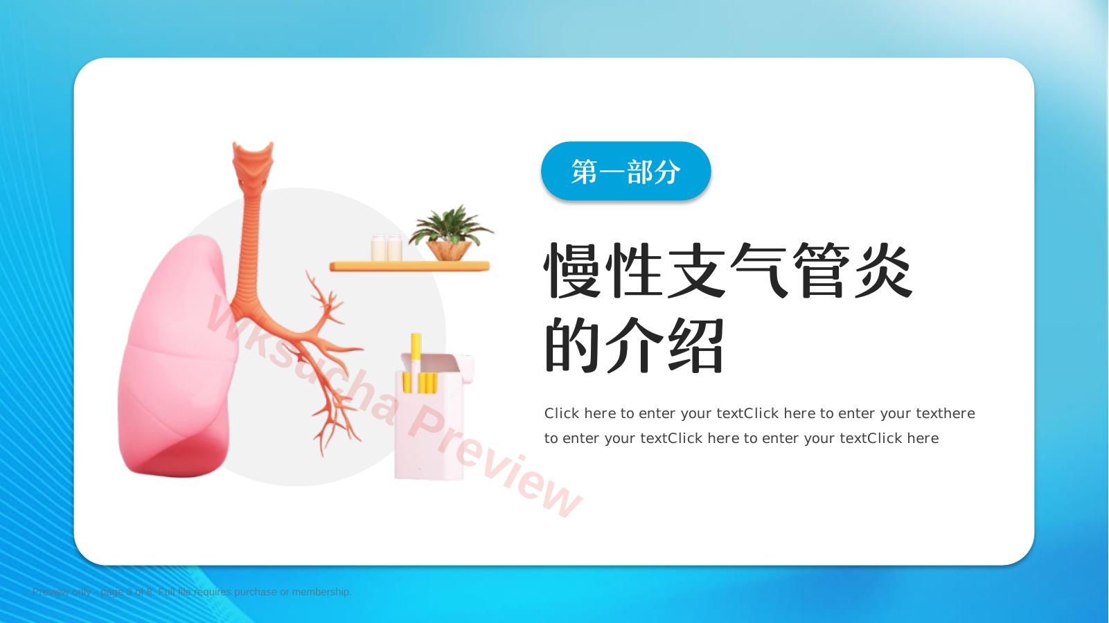 预览第 3 页