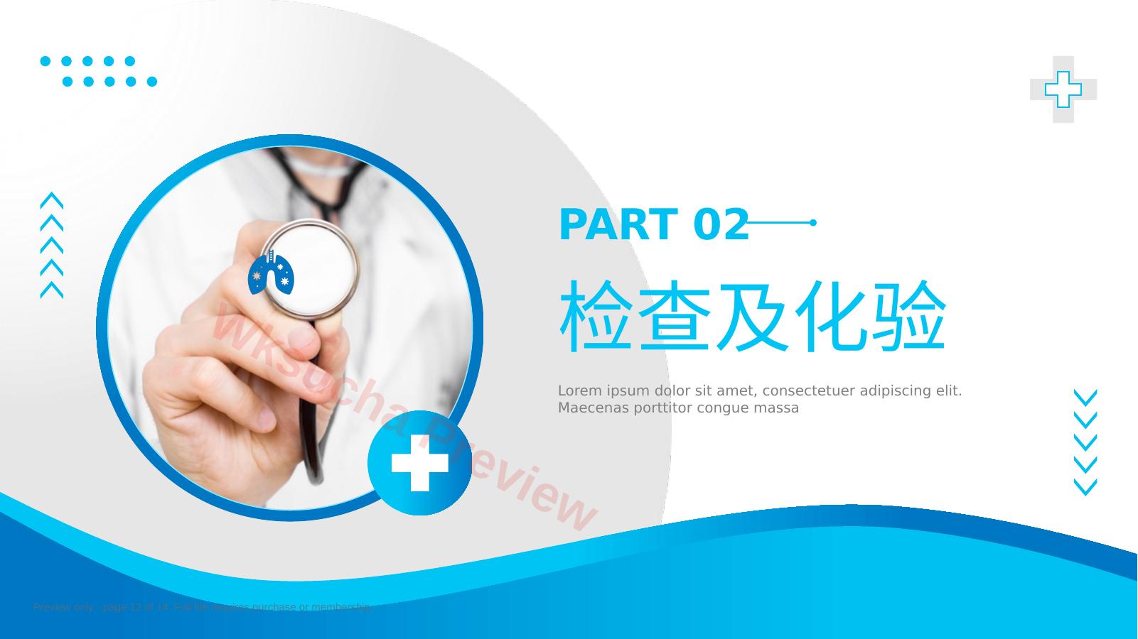预览第 12 页