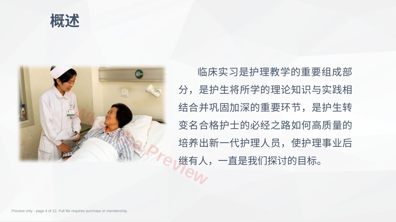 预览第 4 页