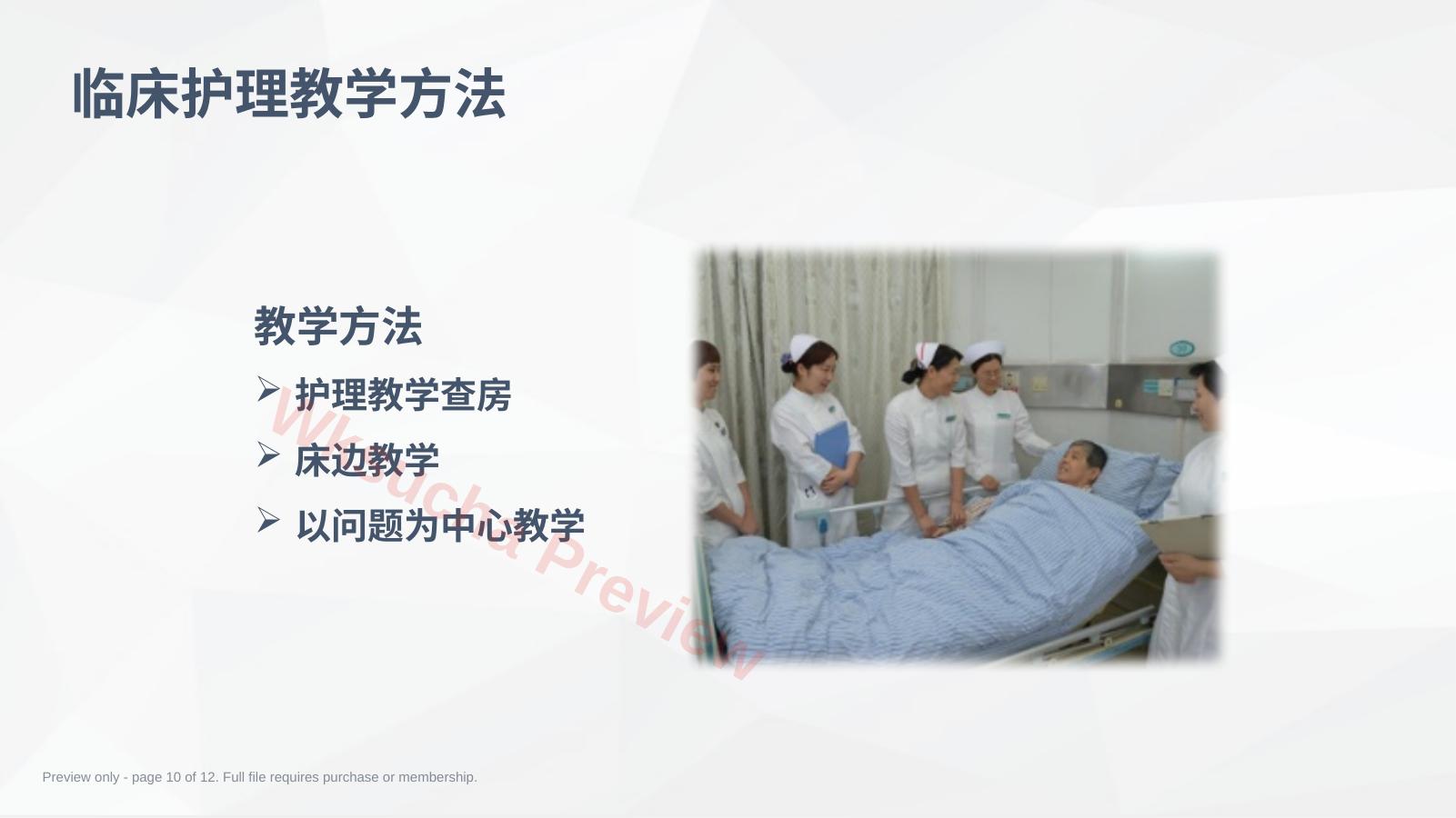 预览第 10 页