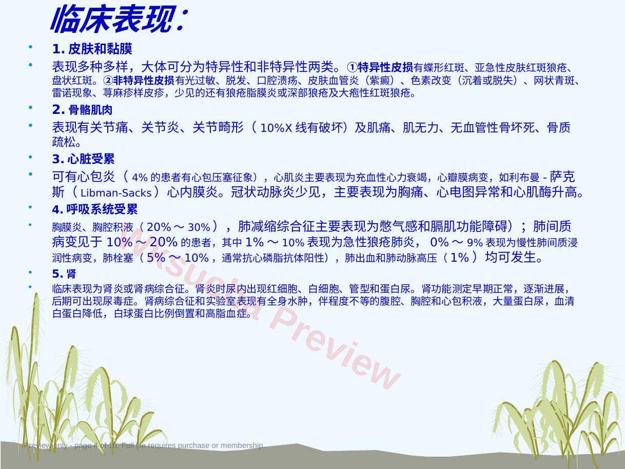 预览第 4 页