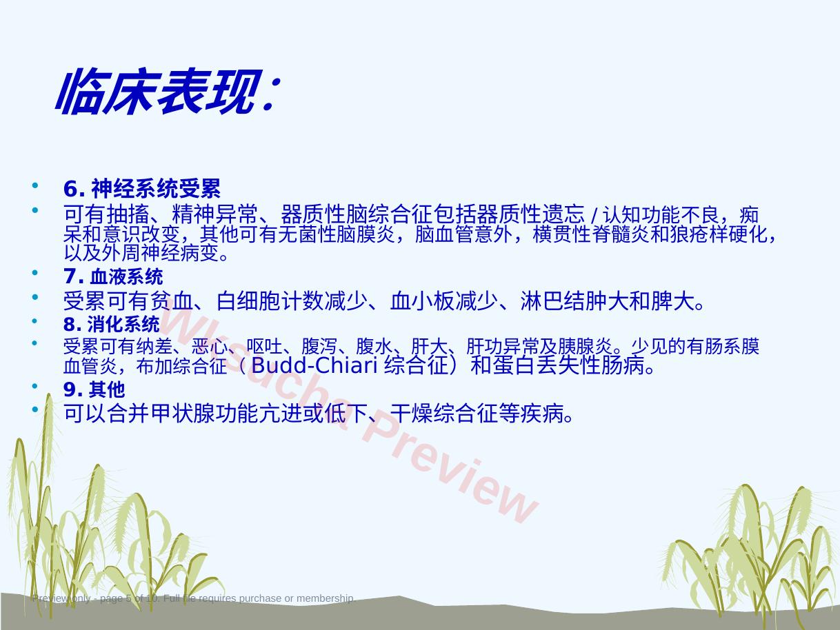 预览第 5 页
