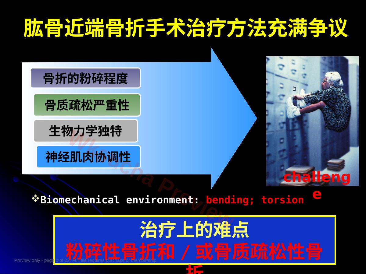 预览第 2 页