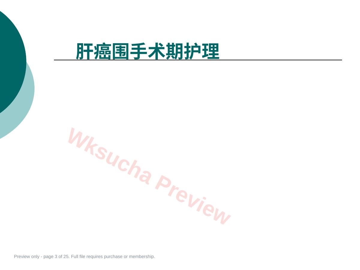 预览第 3 页