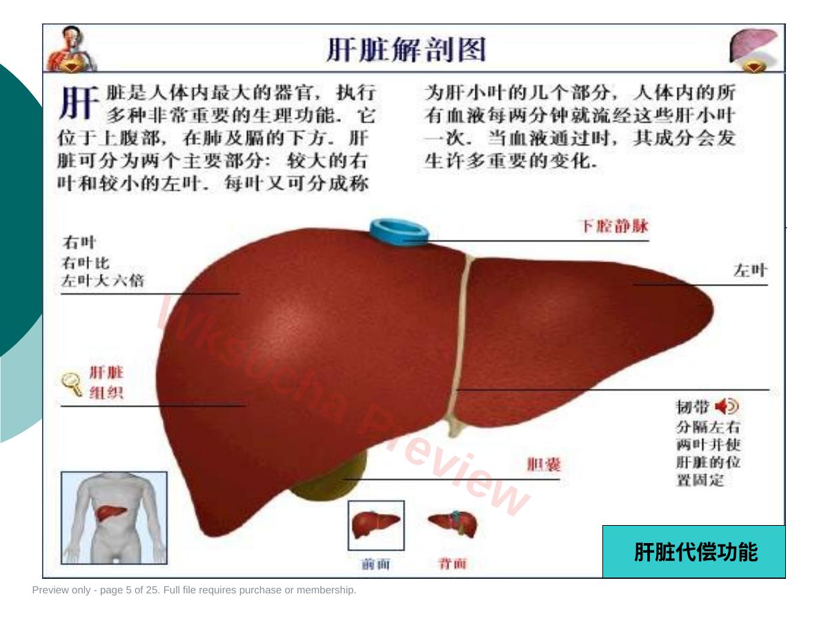预览第 5 页