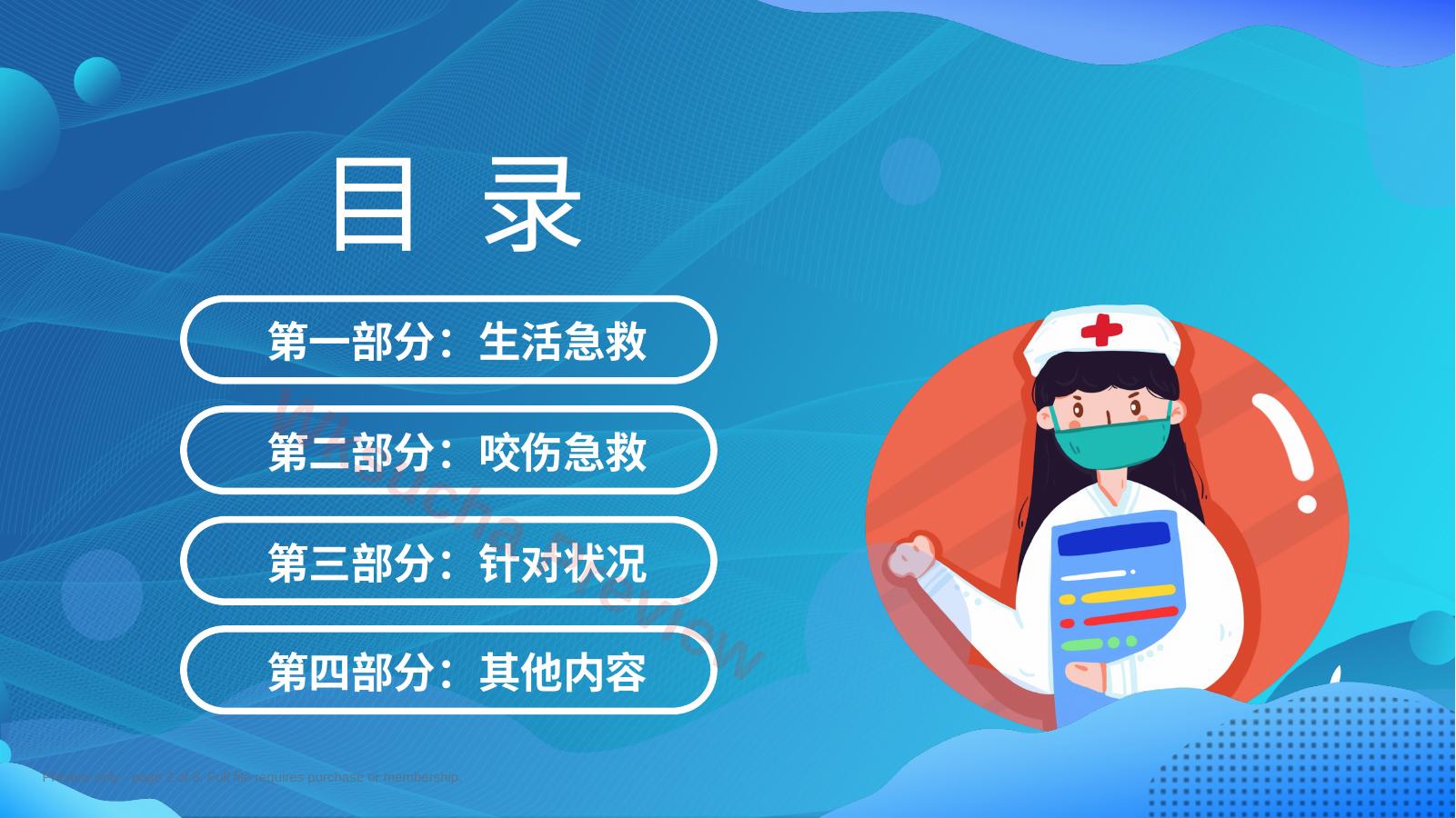 预览第 2 页