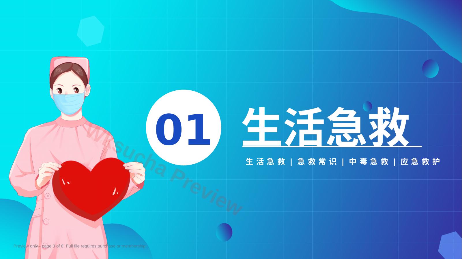 预览第 3 页