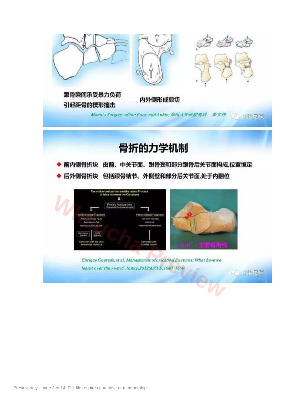 预览第 3 页