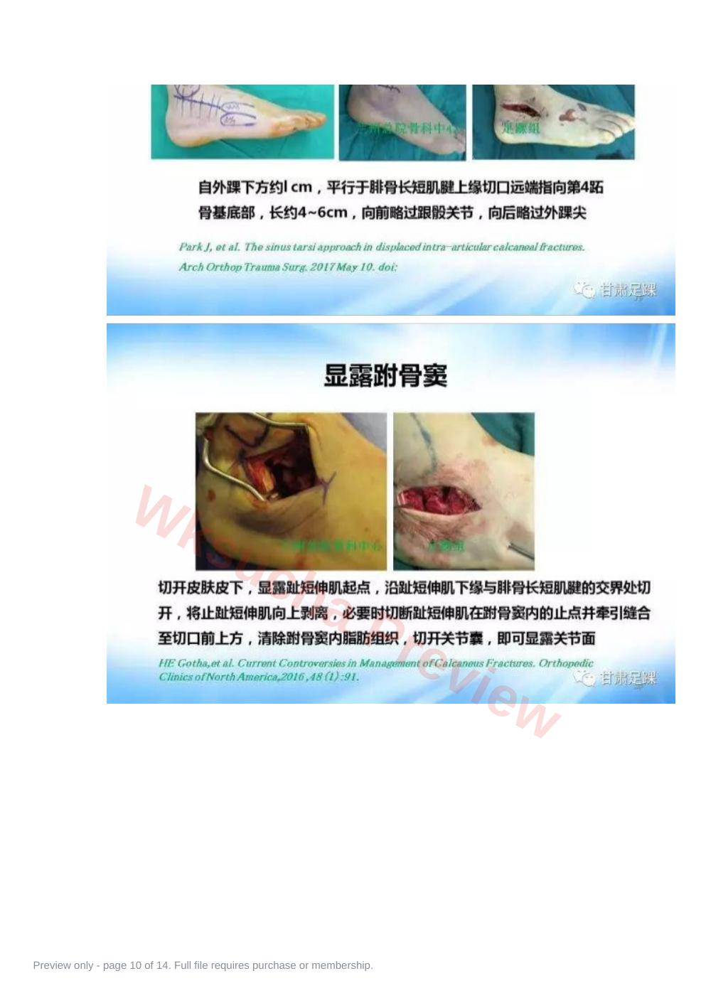 预览第 10 页