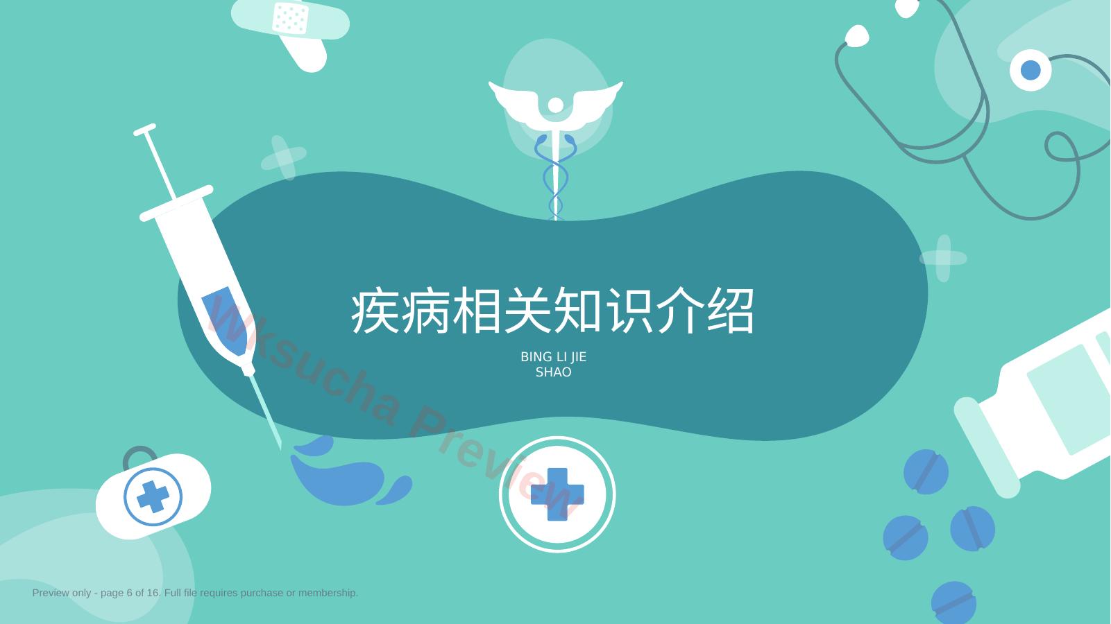 预览第 6 页