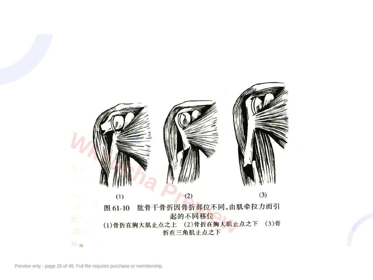 预览第 26 页