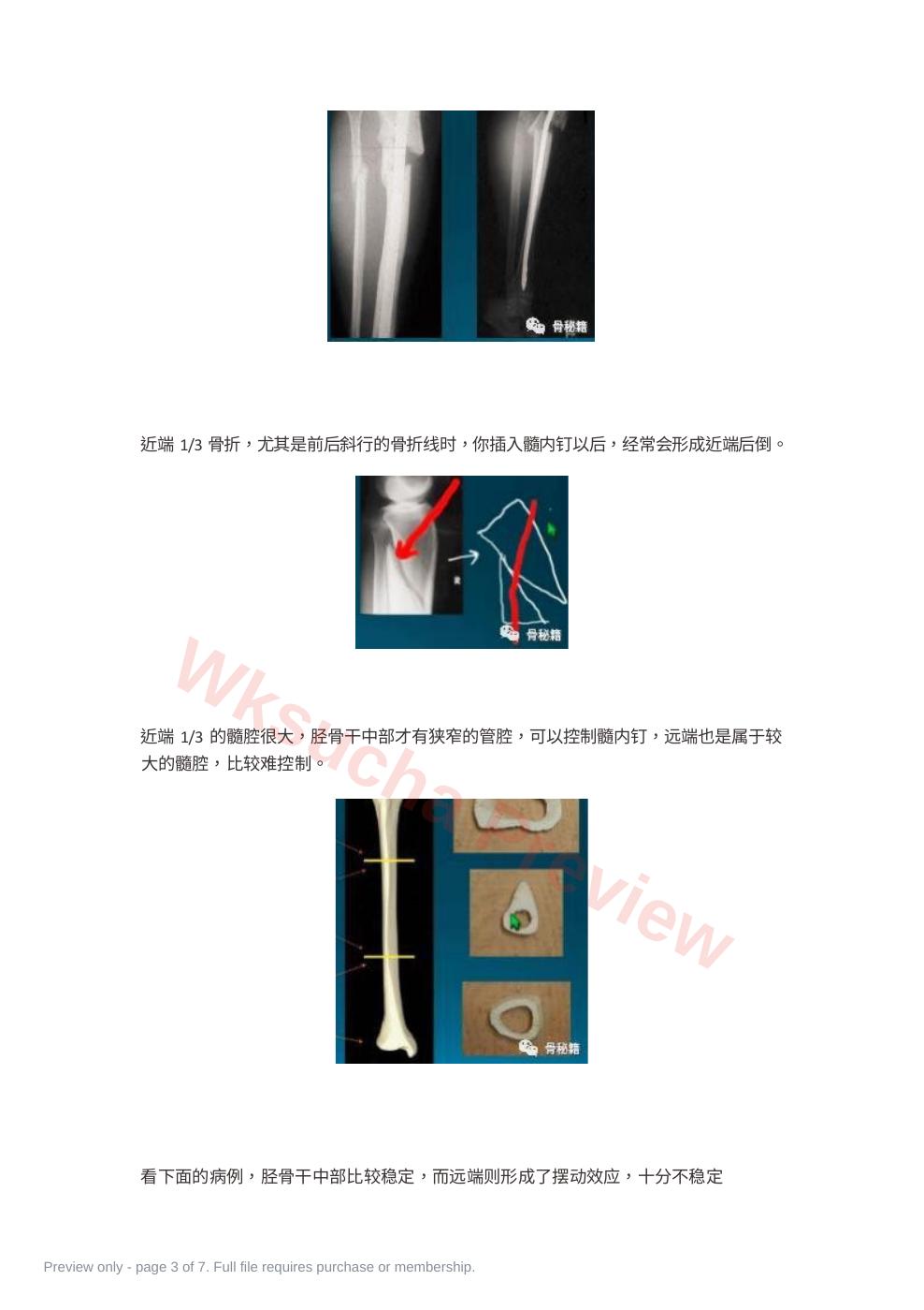 预览第 3 页