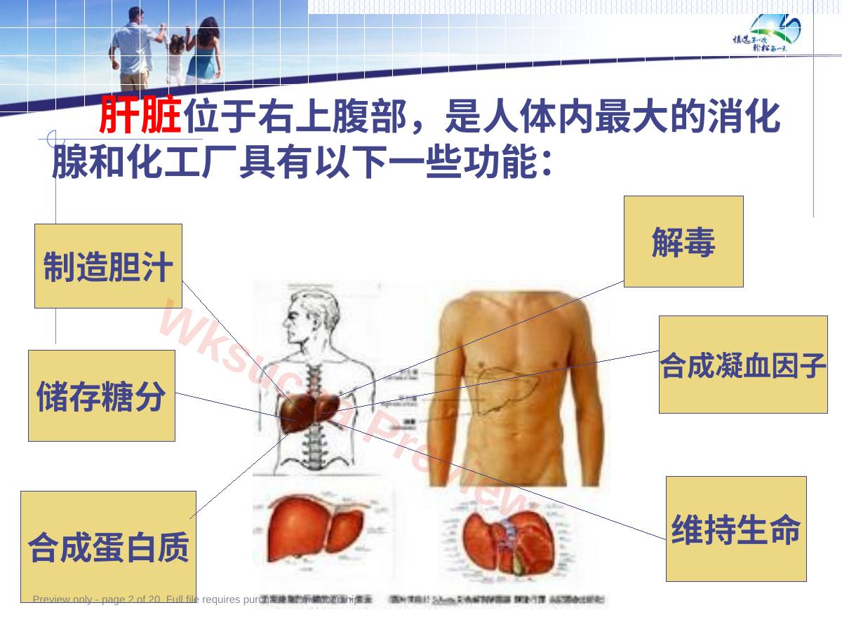 预览第 2 页