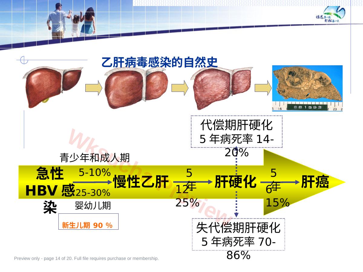 预览第 14 页