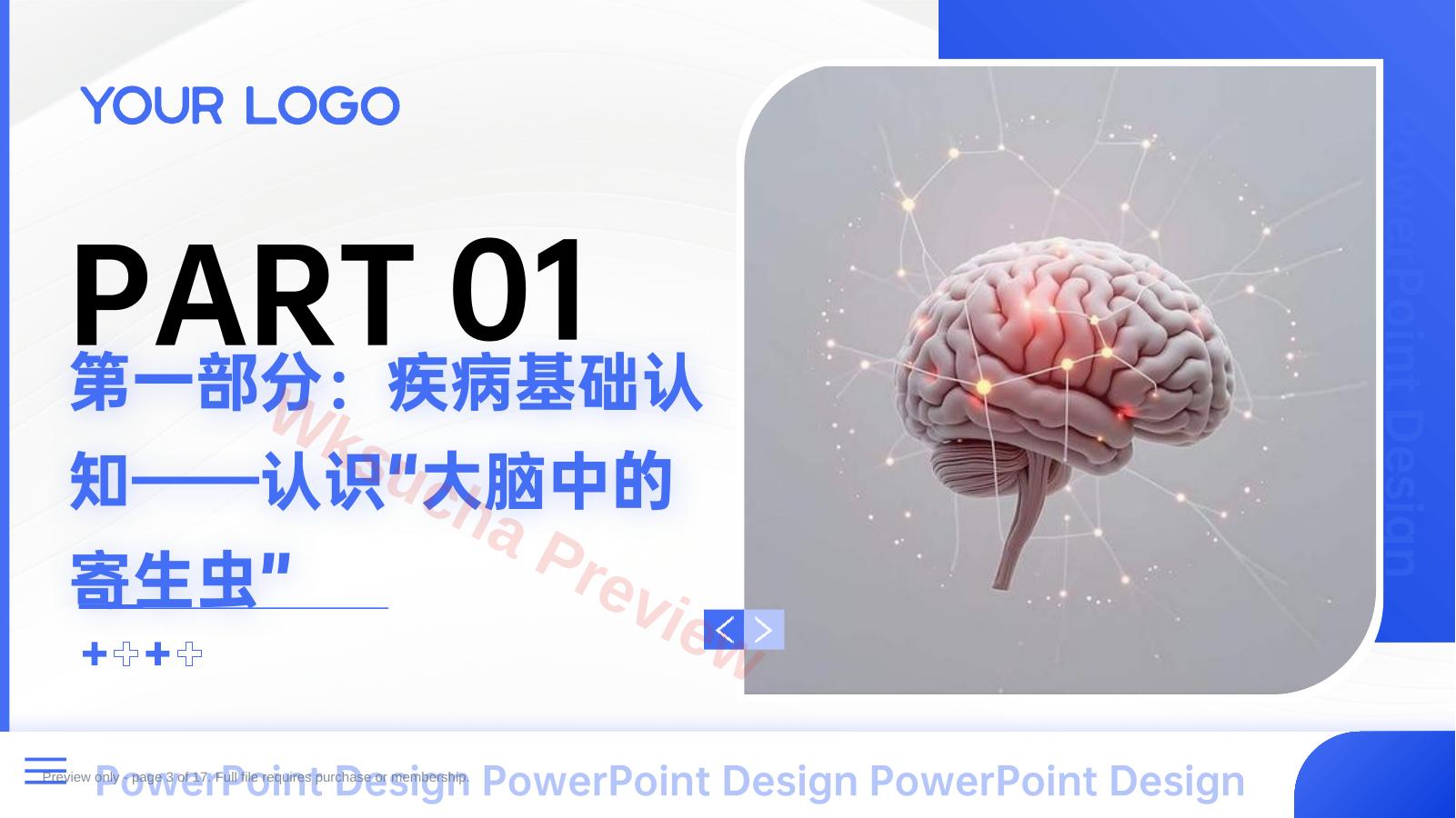 预览第 3 页