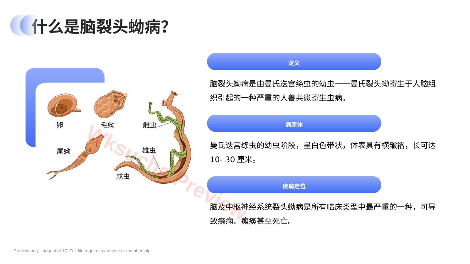 预览第 4 页