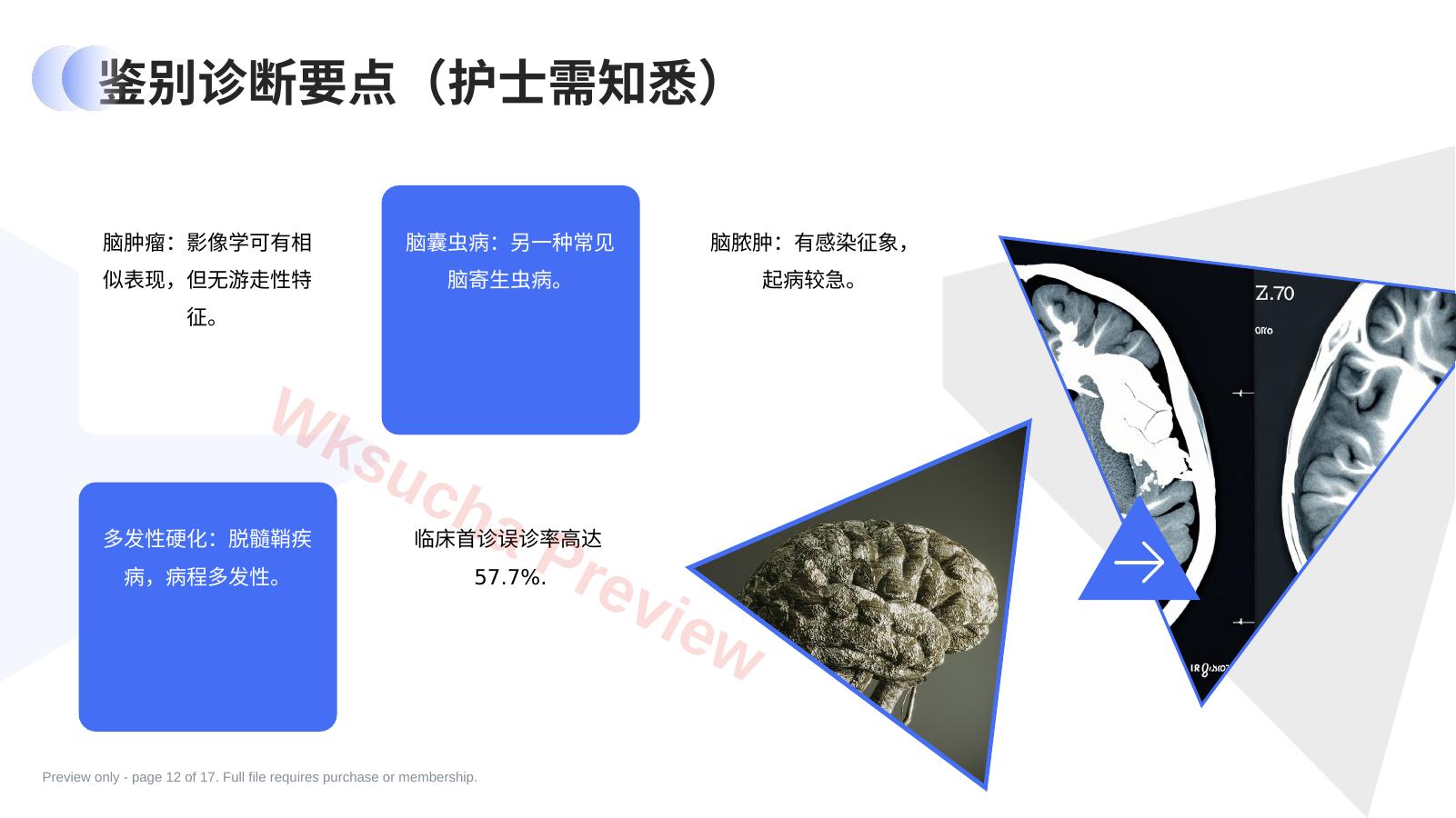预览第 12 页