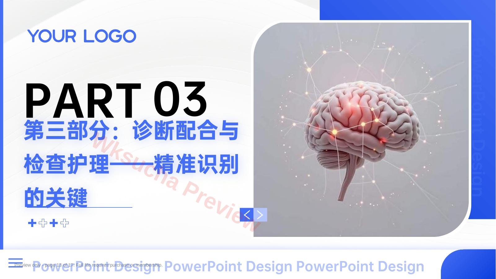 预览第 13 页