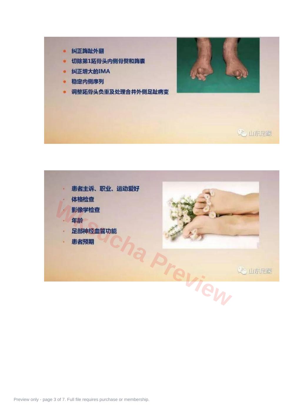 预览第 3 页