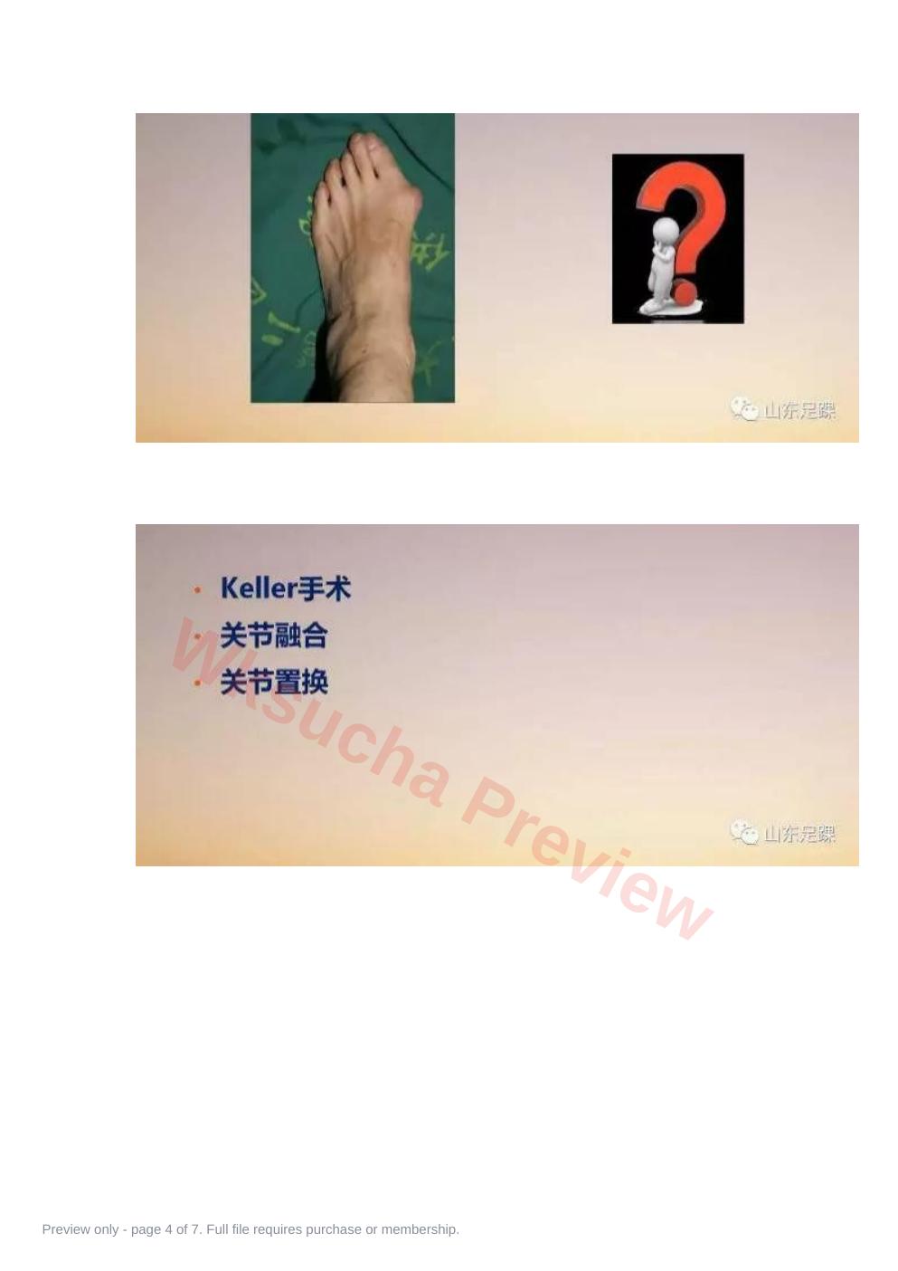 预览第 4 页